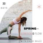 Group logo of Spring – Stretch and Flow Course